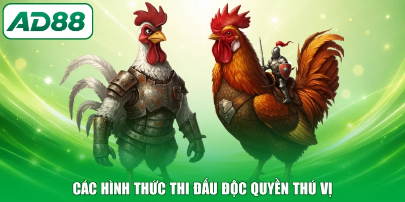 Các hình thức thi đấu độc quyền thú vị